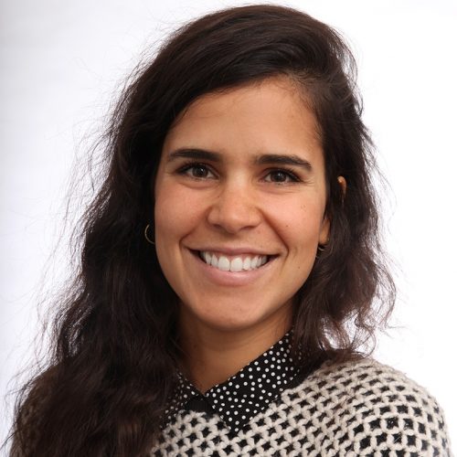 Dr Marcella Papini